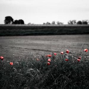 色YEYE网址在线观看
