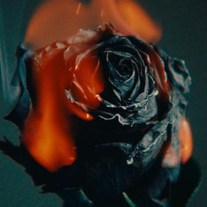 中文字幕久热精品视频免费
