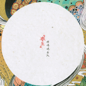 老头在妓女体内谢精子
