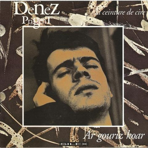 陆华吴刚高志欣赵颖大团结
