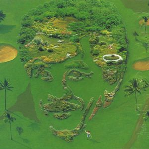 美国午夜免费三节黄色片
