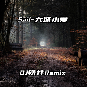 美国午夜免费三节黄色片
