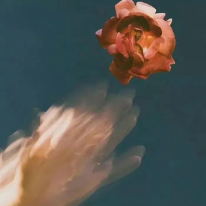 AlettaOcean精品系列
