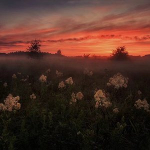 蒙古姑娘高清MV
