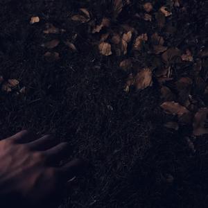 蒙古姑娘高清MV
