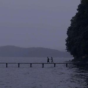 高效内网小雀导航
