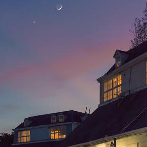 中国一级特黄真人毛片免费视频
