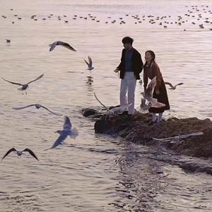 超污的网站入囗
