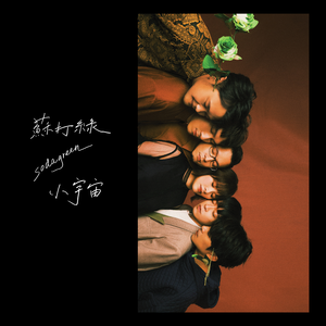 老头在妓女体内谢精子
