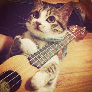 能看到女生光着身子的软件
