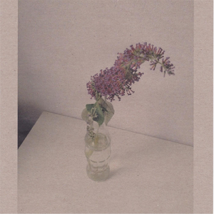 亚洲熟女少妇综合图片区
