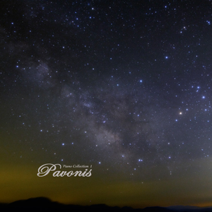 老头在妓女体内谢精子
