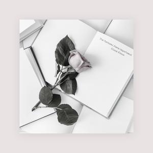 墨哥黄色淫秽网站
