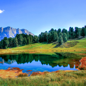 老妇擦她的老荫户
