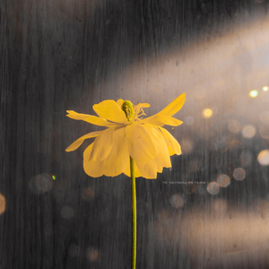 动漫学生疯狂❌喷水自慰
